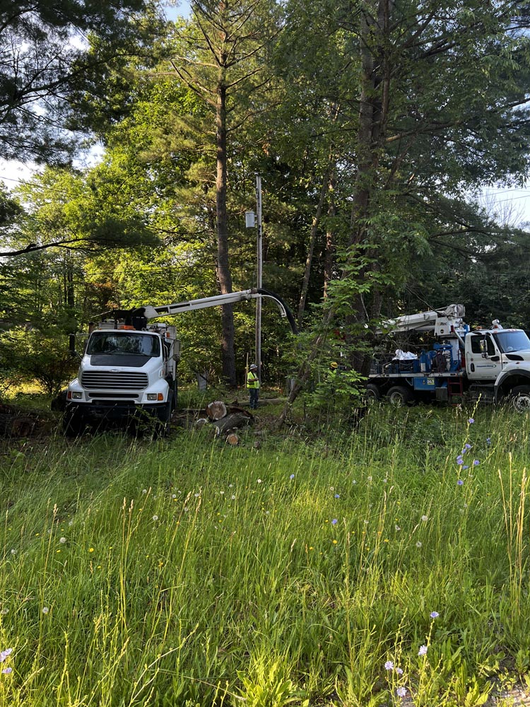 Utility trucks and workers trimming trees near power lines in a wooded area with tall grass and wildflowers.